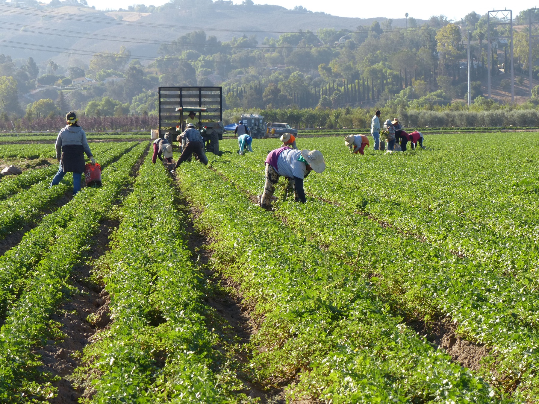 Worker-led photo sequence
